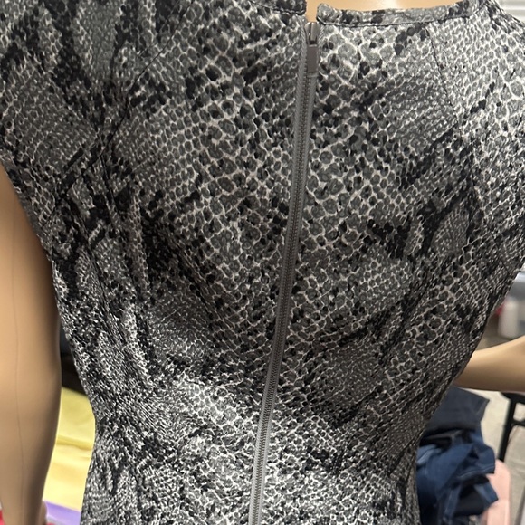 Ann Taylor Gray and Black Snake Print short sleeve Midi Dress size 8 - Picture 4 of 11